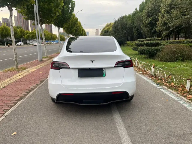 Tesla Model Y — Фото автомобиля 9