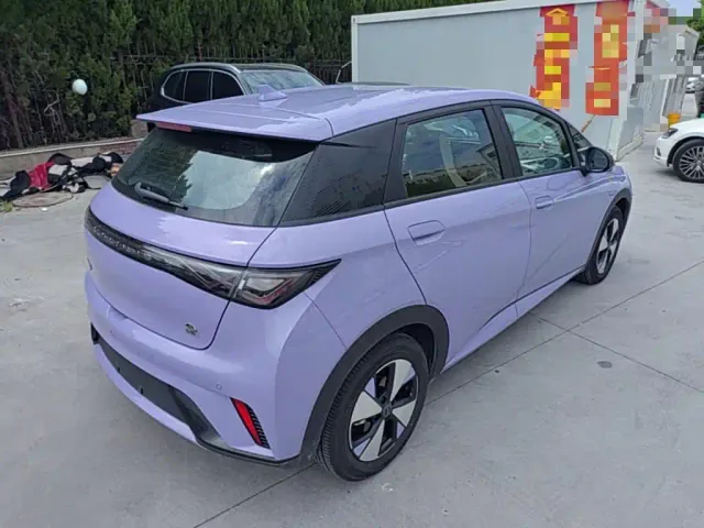 BYD Dolphin — Фото автомобиля 6