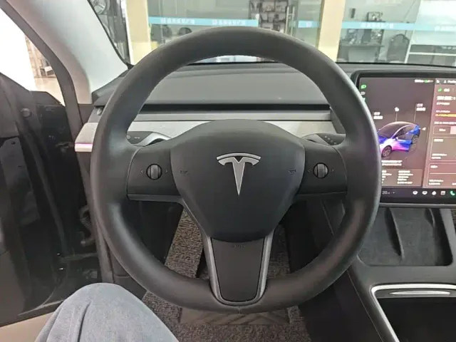 Tesla Model Y — Фото автомобиля 10