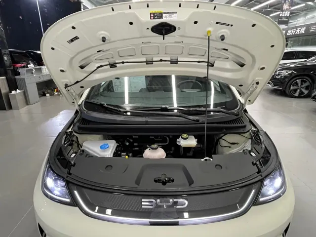 BYD Dolphin — Фото автомобиля 27