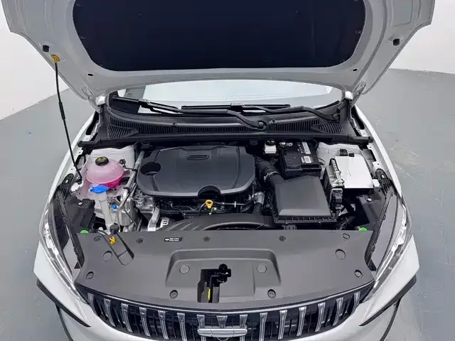 Geely Binrui — Фото автомобиля 11