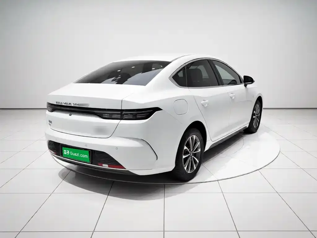 BYD Destroyer 05 2024 Glory Edition DM-i 55KM Luxury — Фото автомобиля 6