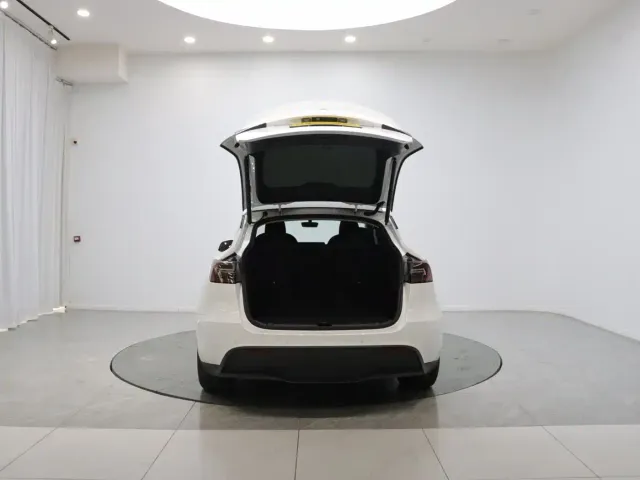 Tesla Model Y — Фото автомобиля 9