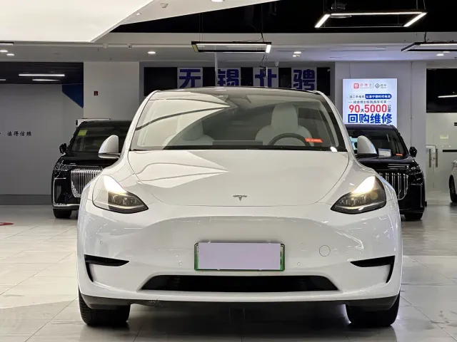 Tesla Model Y — Фото автомобиля 2