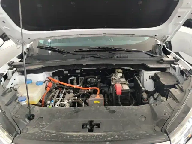 Dongfeng SKY EV01 — Фото автомобиля 19