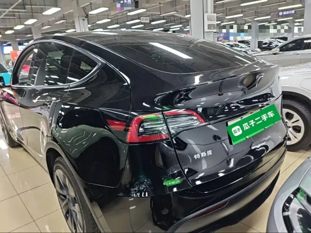 Tesla Model Y — Фото автомобиля 4