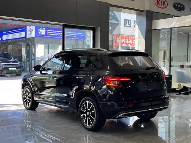 Skoda Karoq — Фото автомобиля 15