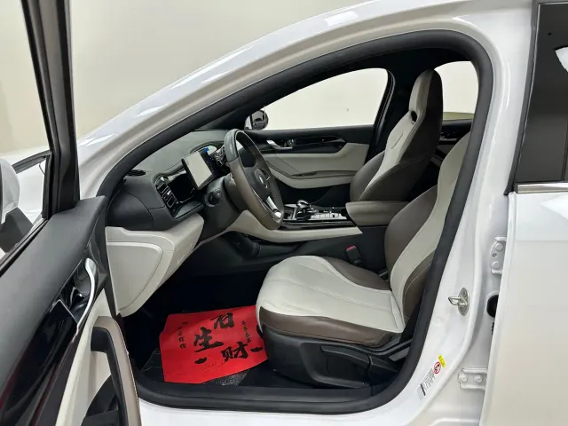 BYD Qin PLUS — Фото автомобиля 15