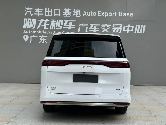 BYD M9 — Фото автомобиля 4