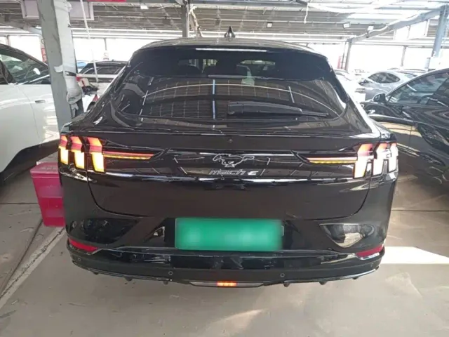Ford Mustang Mach-E — Фото автомобиля 5