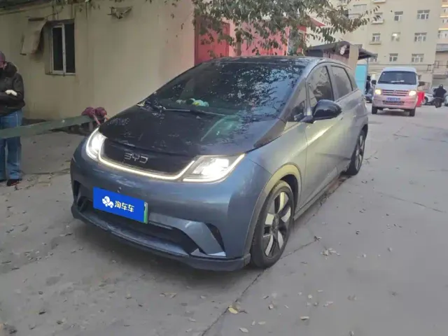 Фотография автомобиля — BYD Dolphin