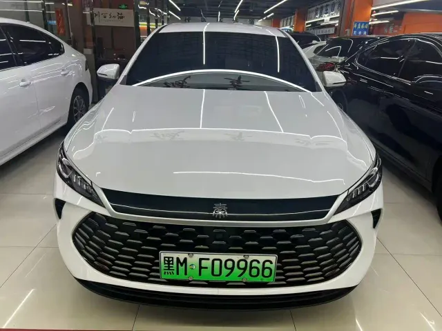 BYD Qin PLUS — Фото автомобиля 2