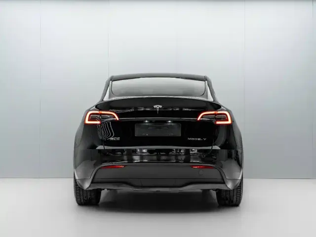 Tesla Model Y — Фото автомобиля 6