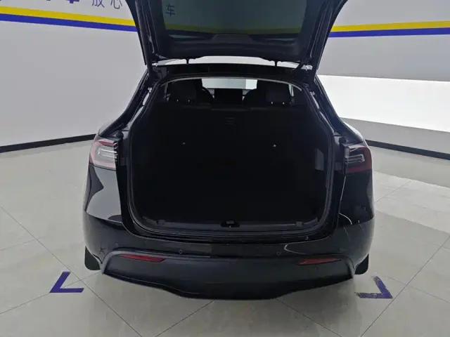 Tesla Model Y — Фото автомобиля 4