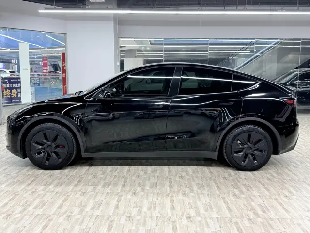 Tesla Model Y — Фото автомобиля 2