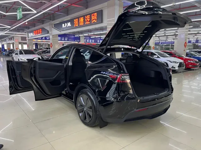 Tesla Model Y — Фото автомобиля 15