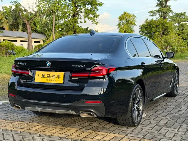 BMW 5 Series — Фото автомобиля 20