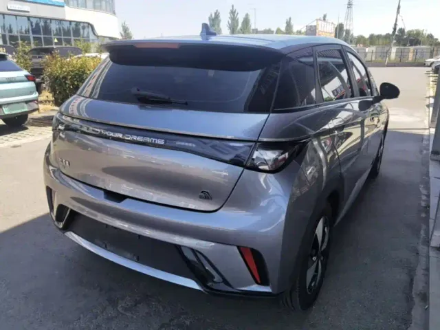 BYD Dolphin — Фото автомобиля 6