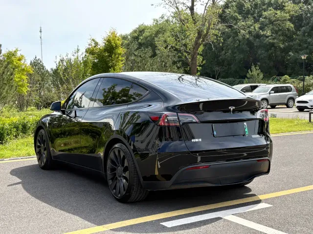 Tesla Model Y — Фото автомобиля 6