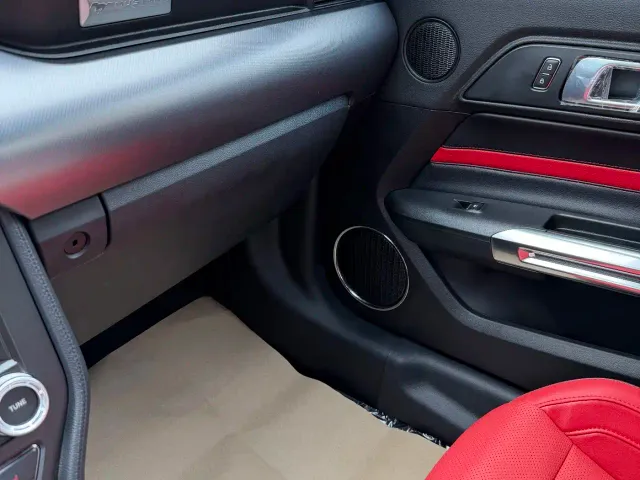 Ford Mustang — Фото автомобиля 11
