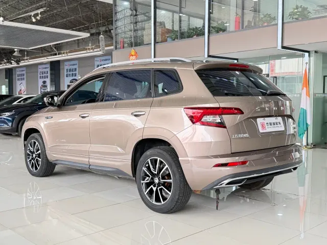 Skoda Karoq — Фото автомобиля 13