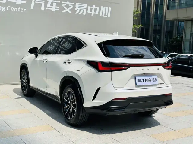 Lexus NX — Фото автомобиля 15