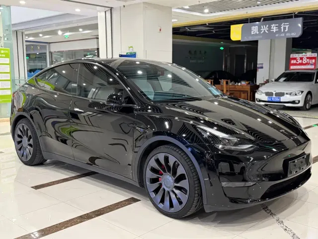 Tesla Model Y 2022 Performance High-Performance All-Wheel Drive Version — Фото автомобиля 3