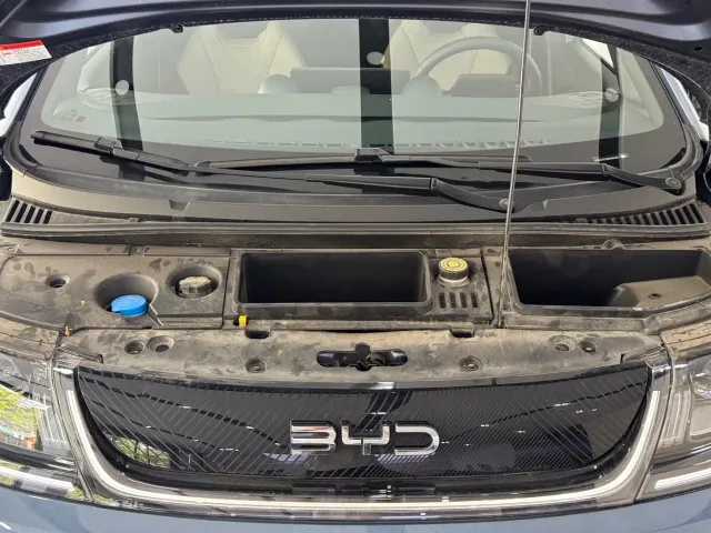 BYD Dolphin — Фото автомобиля 4