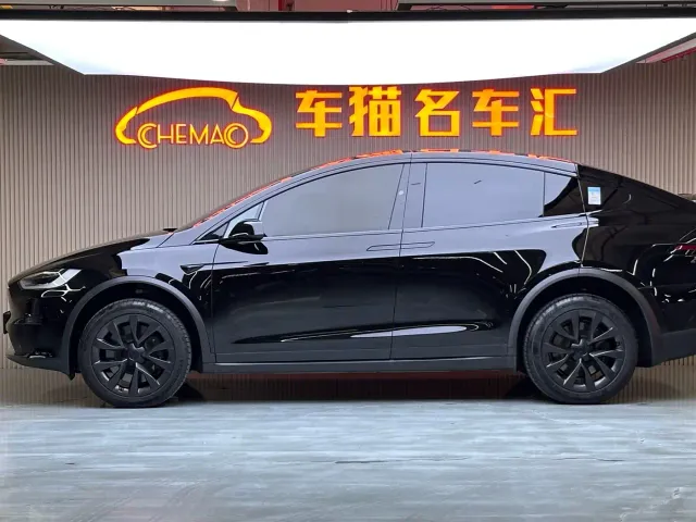 Tesla Model X — Фото автомобиля 19