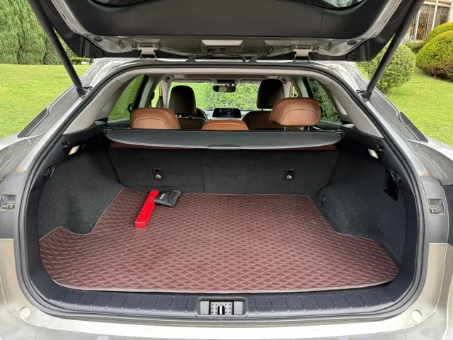 Lexus RX — Фото автомобиля 22
