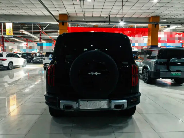 BYD FangChengBao Leopard 5 — Фото автомобиля 21