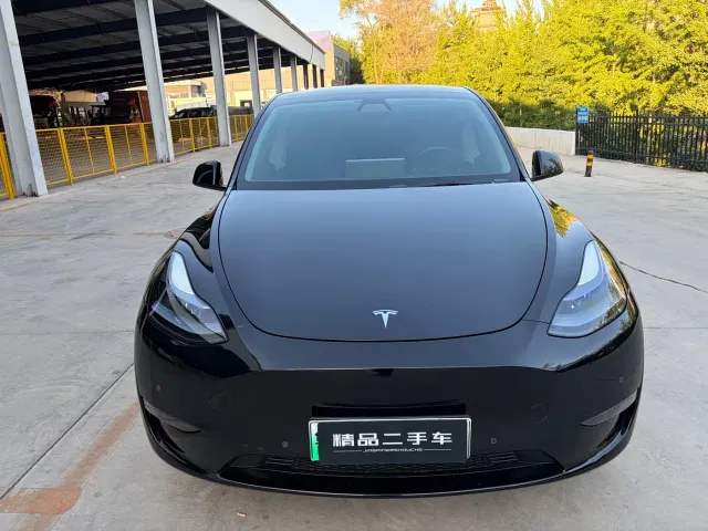 Tesla Model Y — Фото автомобиля 2