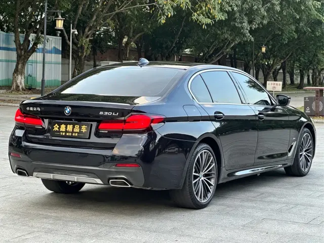 BMW 5 Series — Фото автомобиля 14