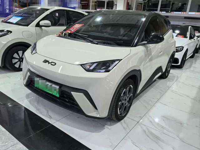 Фотография автомобиля — BYD Seagull
