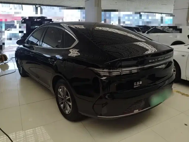 BYD Destroyer 05 2024 Glory Edition DM-i 55KM Luxury — Фото автомобиля 4