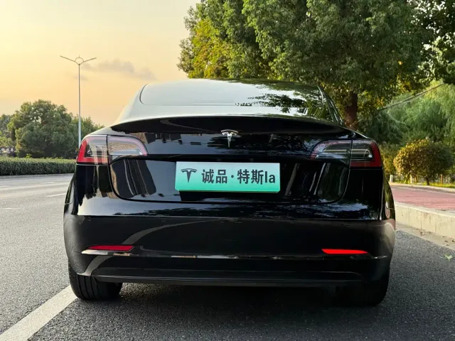 Tesla Model 3 — Фото автомобиля 4