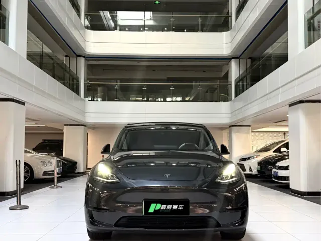 Tesla Model Y — Фото автомобиля 2