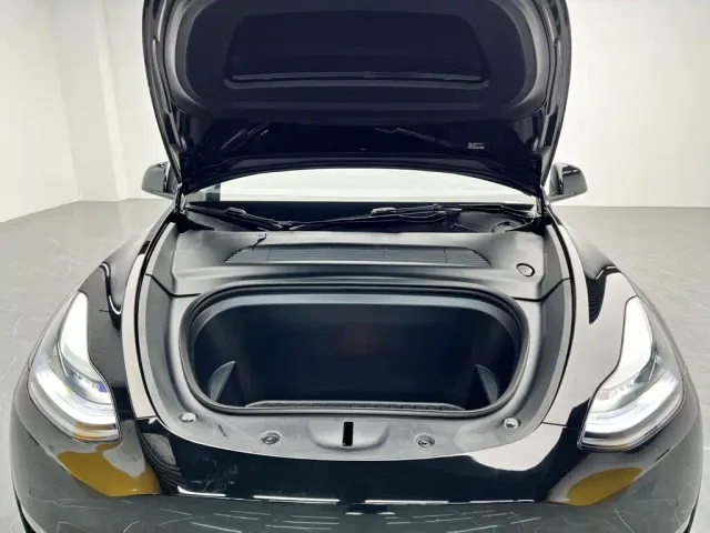 Tesla Model Y — Фото автомобиля 9
