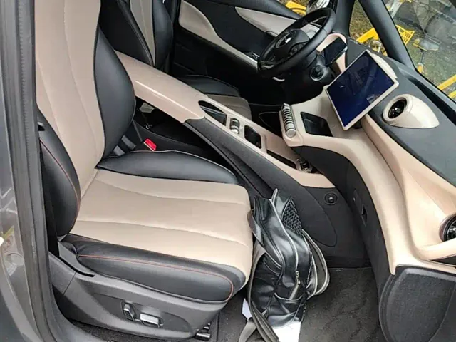 BYD Dolphin — Фото автомобиля 24