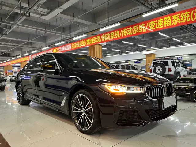 BMW 5 Series — Фото автомобиля 6