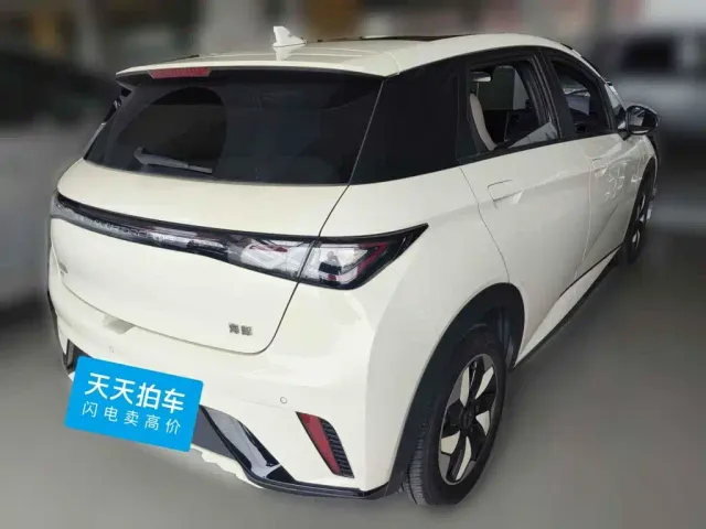 BYD Dolphin — Фото автомобиля 2