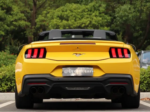 Ford Mustang — Фото автомобиля 5