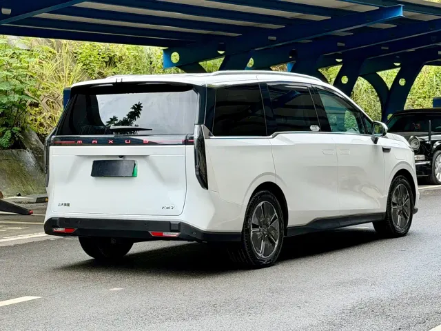 Maxus Dajia 7 — Фото автомобиля 11