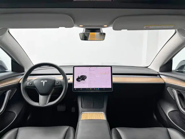 Tesla Model 3 — Фото автомобиля 22