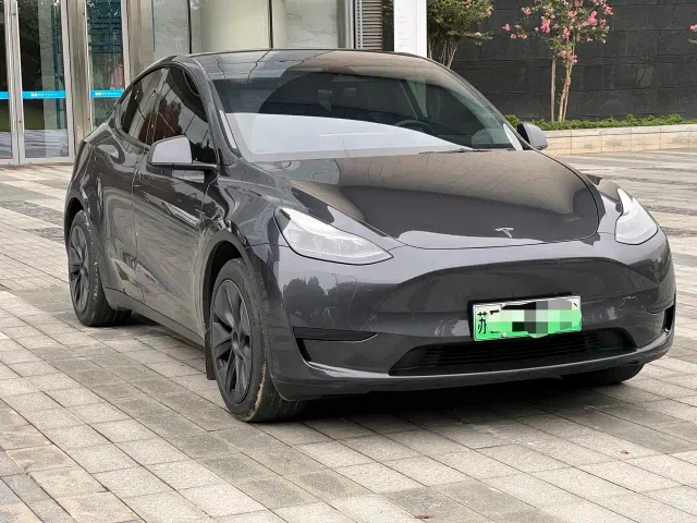 Tesla Model Y — Фото автомобиля 2