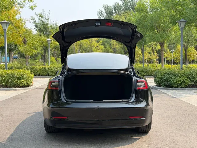 Tesla Model 3 — Фото автомобиля 20