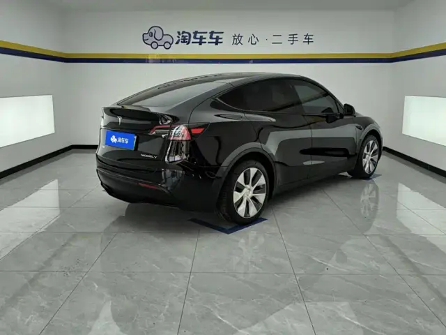 Tesla Model Y — Фото автомобиля 3