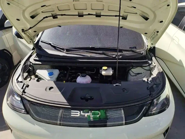 BYD Dolphin — Фото автомобиля 19