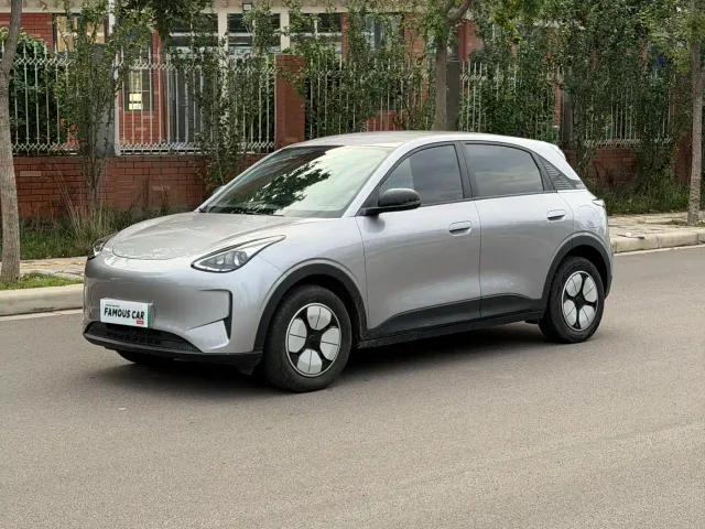 Фотография автомобиля — Geely Starry Wish
