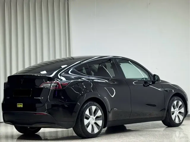 Tesla Model Y — Фото автомобиля 6